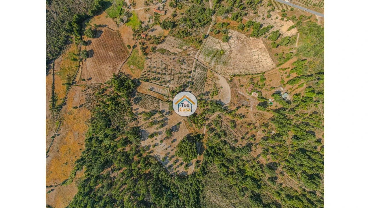 Terreno para Venda em Ferreirim e Macieira Foto 1