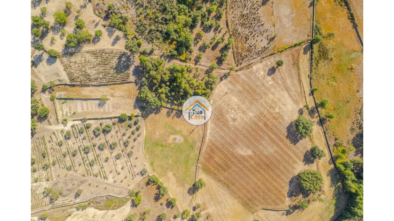 Terreno para Venda em Ferreirim e Macieira Foto 6