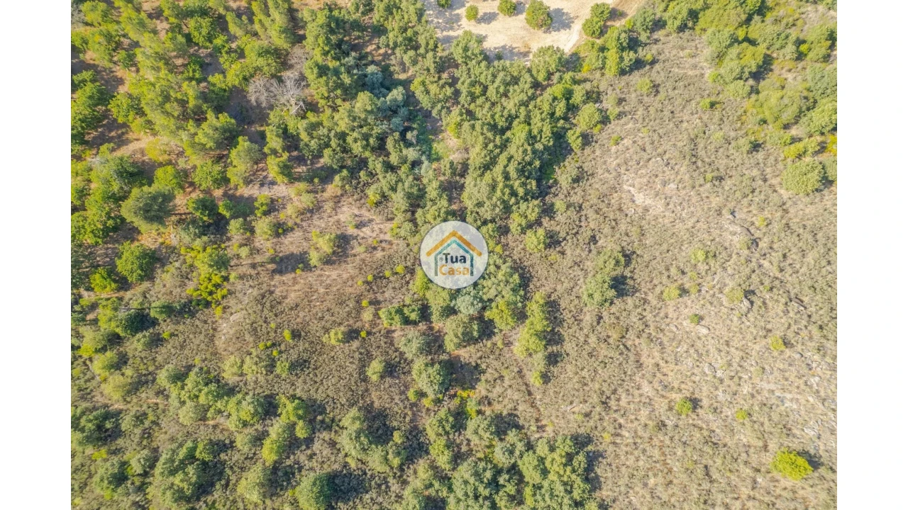 Terreno para Venda em Ferreirim e Macieira Foto 18