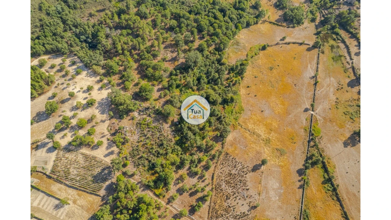 Terreno para Venda em Ferreirim e Macieira Foto 7