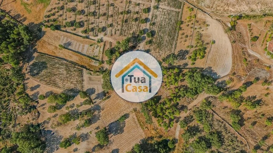 Terreno para Venda em Ferreirim e Macieira