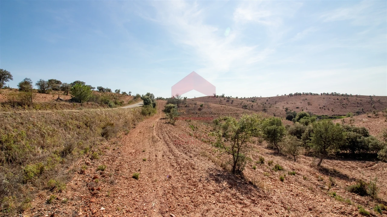Quinta T0 para Venda em Mertola Foto 6