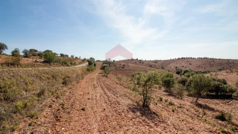 Quinta T0 para Venda em Mertola