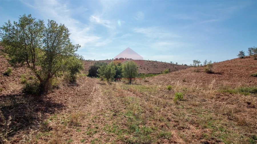 Quinta T0 para Venda em Mertola Foto 5