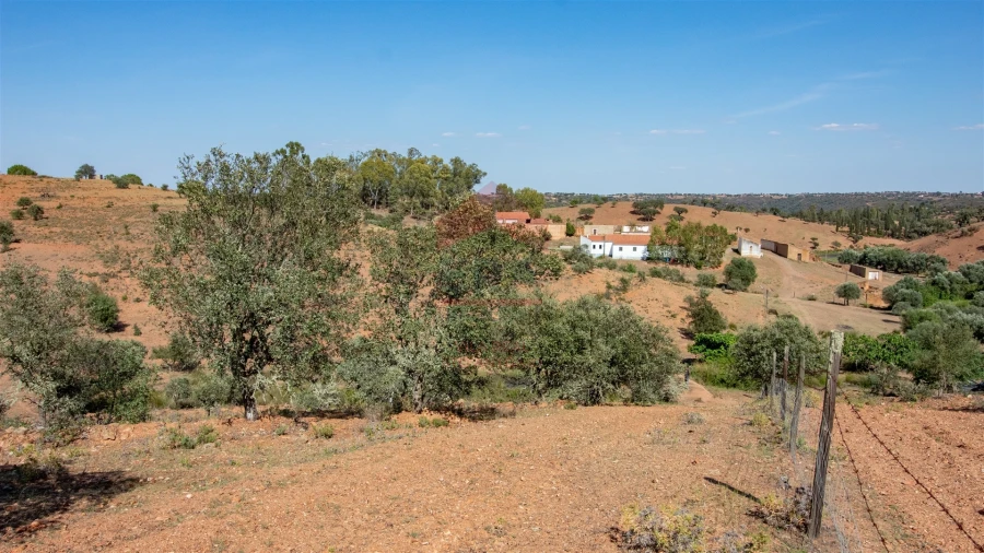 Quinta T0 para Venda em Mertola Foto 4