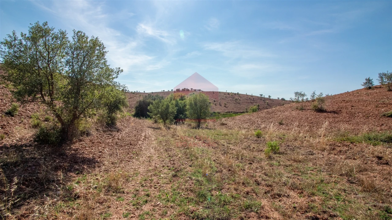 Quinta T0 para Venda em Mertola Foto 5