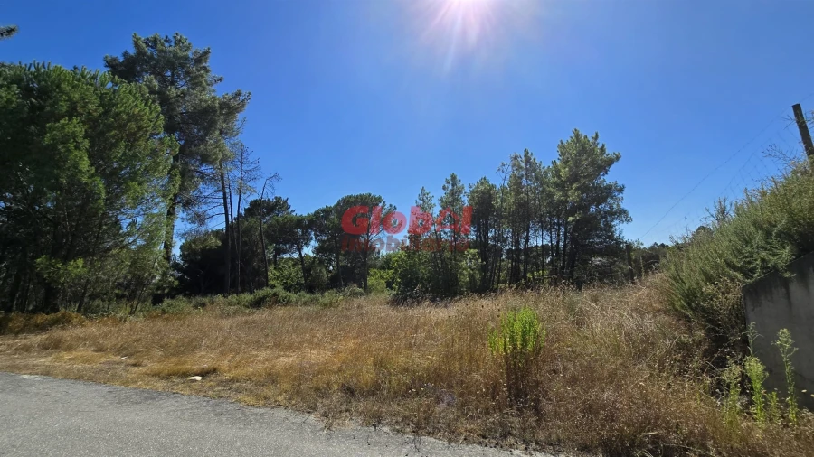 Terreno para Venda em Rio de Loba Foto 2