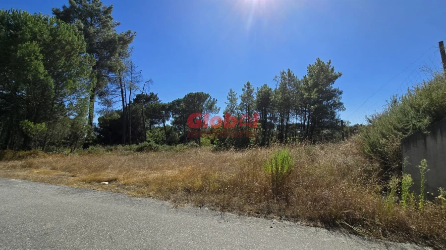 Terreno para Venda em Rio de Loba Foto 1