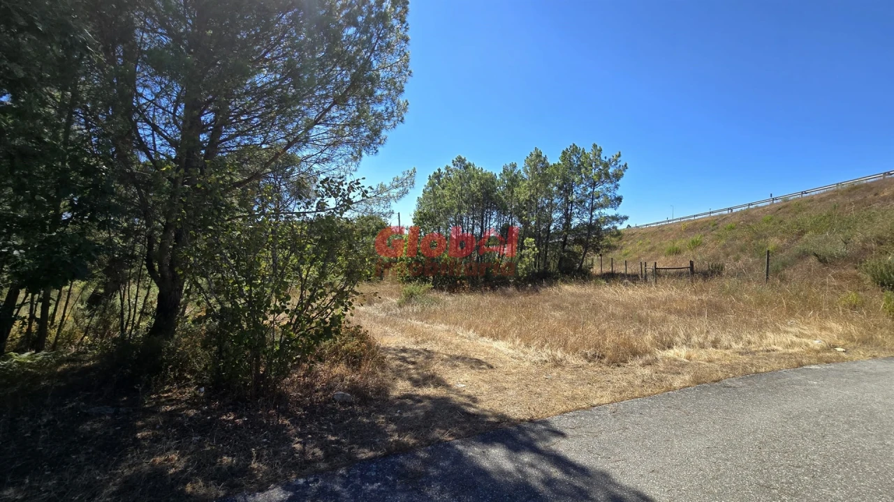 Terreno para Venda em Rio de Loba Foto 3