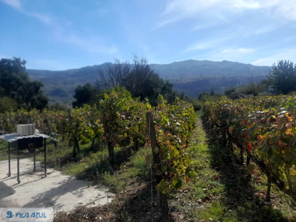 Quinta T3 para Venda em Barqueiros Foto 4