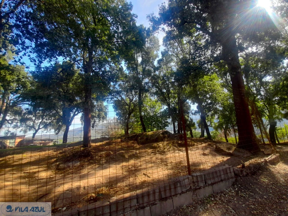 Quinta T3 para Venda em Barqueiros Foto 7