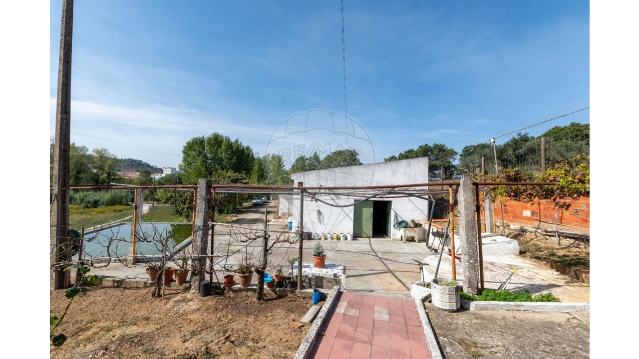 Quinta T3 para Venda em Alcoentre Foto 17