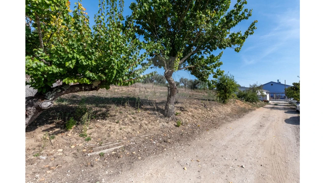 Quinta T3 para Venda em Alcoentre Foto 7