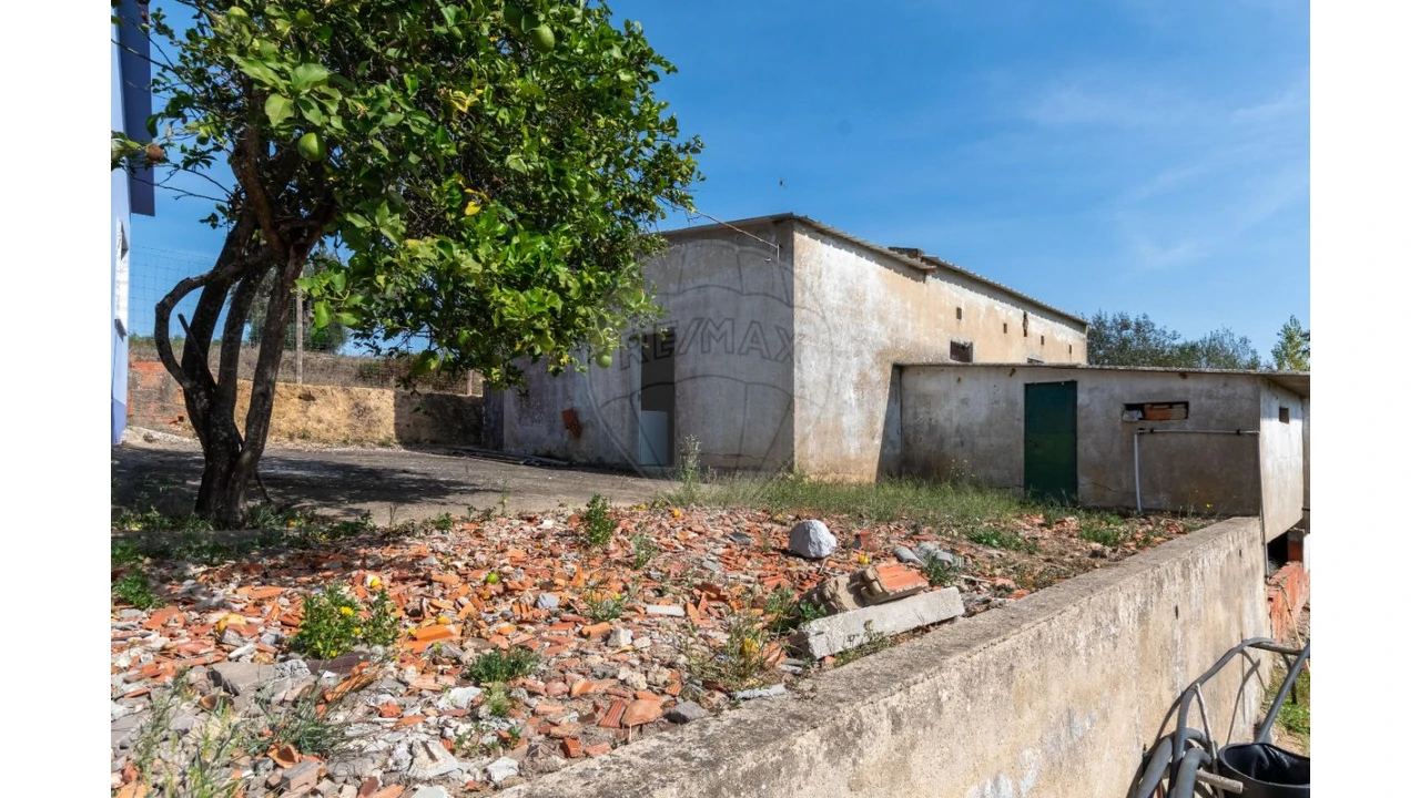 Quinta T3 para Venda em Alcoentre Foto 18