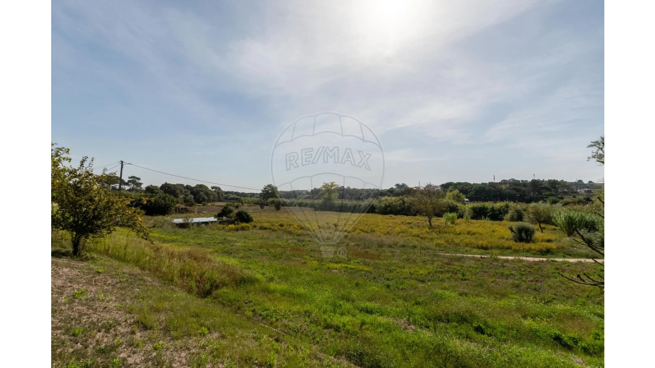 Quinta T3 para Venda em Alcoentre Foto 8