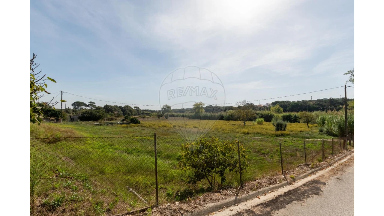 Quinta T3 para Venda em Alcoentre Foto 4