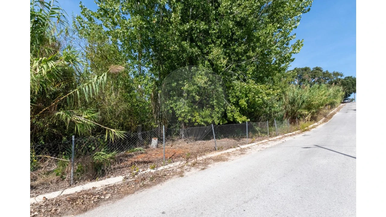 Quinta T3 para Venda em Alcoentre Foto 5