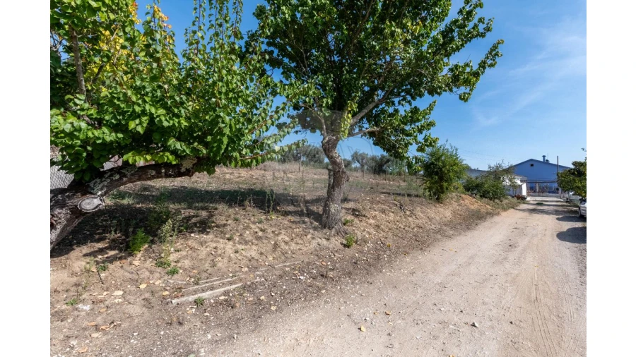 Quinta T3 para Venda em Alcoentre Foto 7