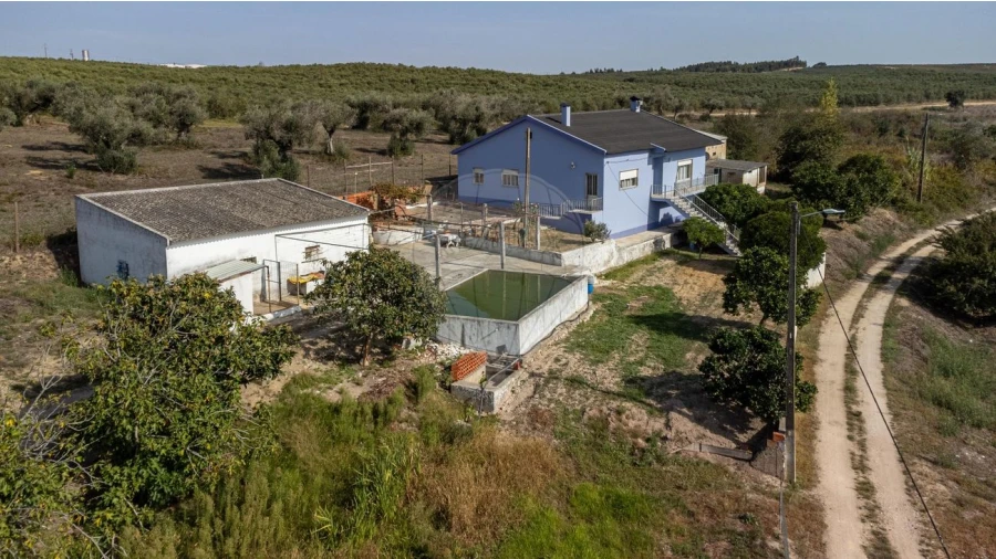 Quinta T3 para Venda em Alcoentre Foto 47