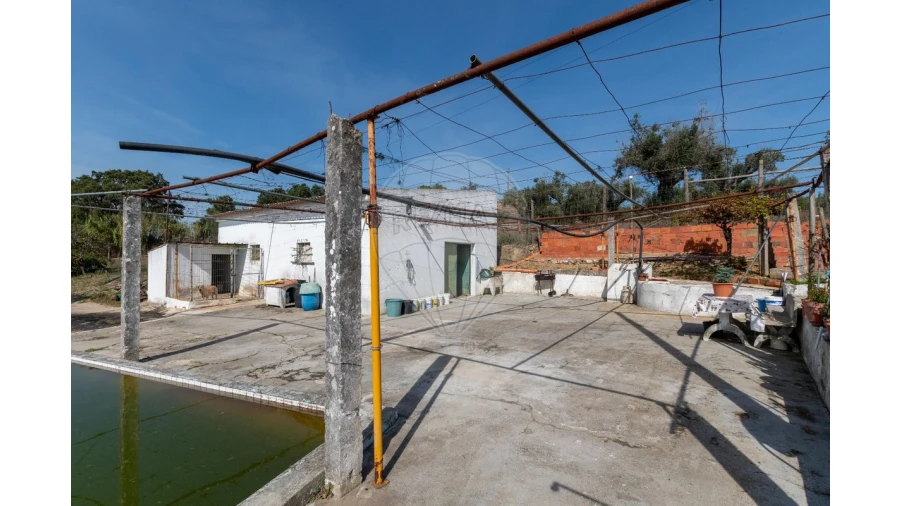 Quinta T3 para Venda em Alcoentre Foto 21