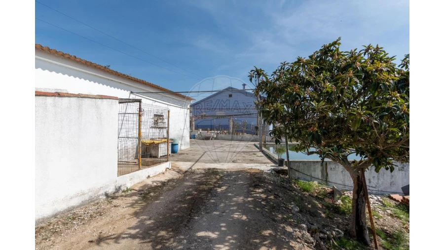 Quinta T3 para Venda em Alcoentre Foto 10