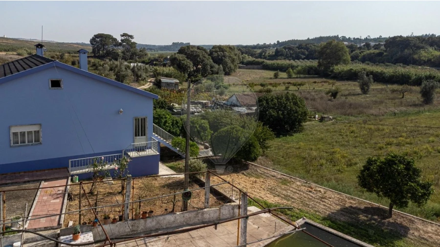 Quinta T3 para Venda em Alcoentre Foto 48