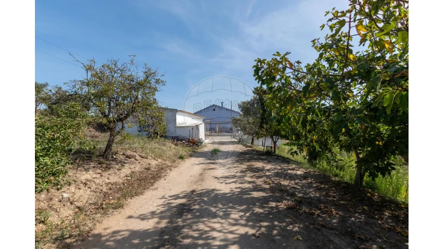 Quinta T3 para Venda em Alcoentre Foto 9