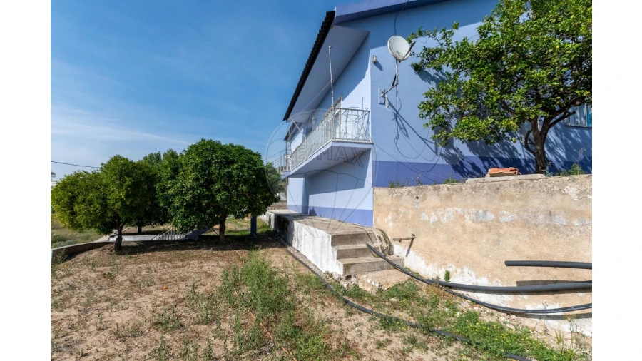 Quinta T3 para Venda em Alcoentre Foto 19