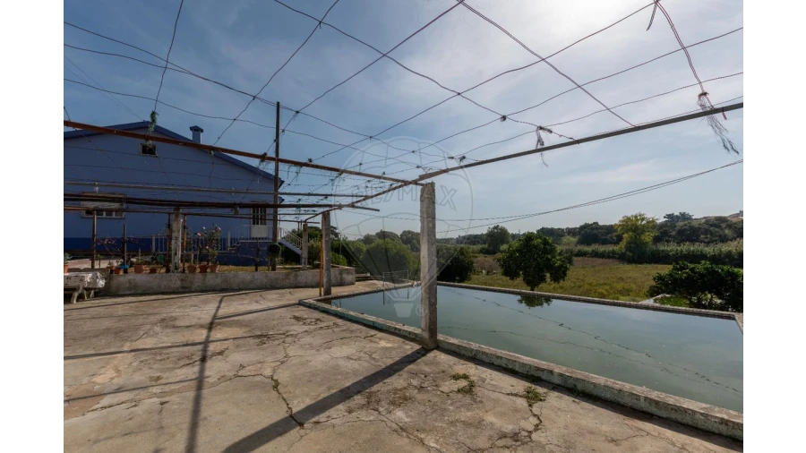 Quinta T3 para Venda em Alcoentre Foto 11