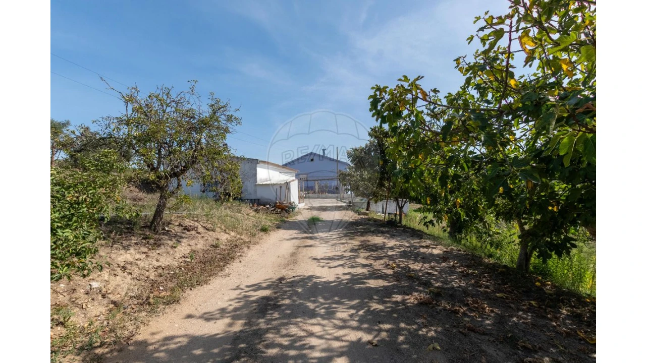 Quinta T3 para Venda em Alcoentre Foto 9