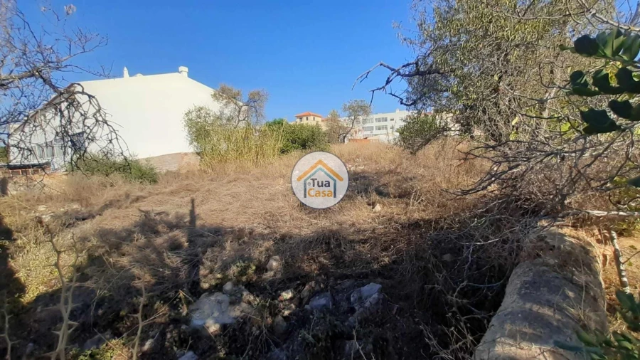 Terreno para Venda em São Brás de Alportel Foto 6