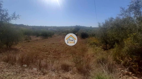 Terreno para Venda em São Brás de Alportel