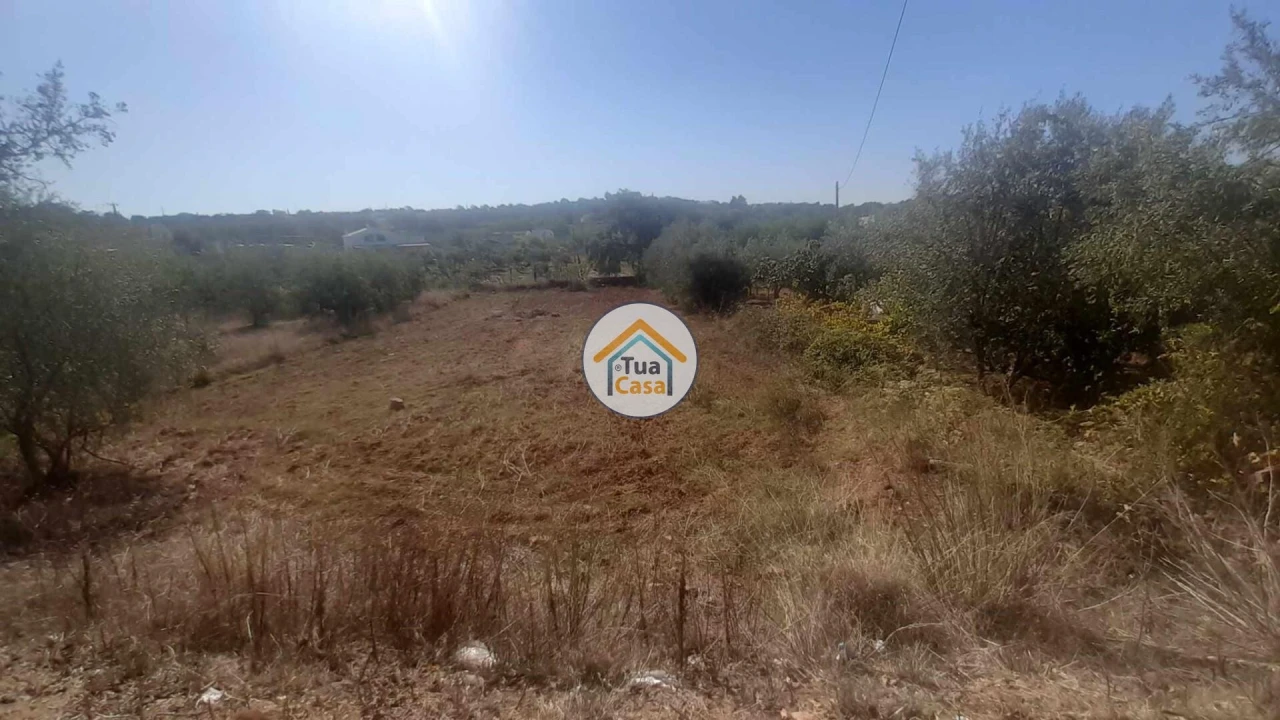 Terreno para Venda em São Brás de Alportel Foto 1