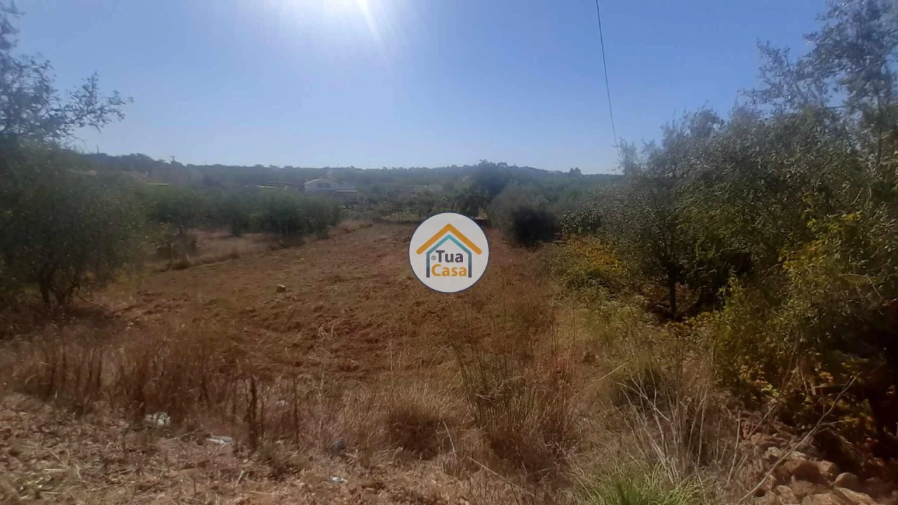 Terreno para Venda em São Brás de Alportel Foto 5