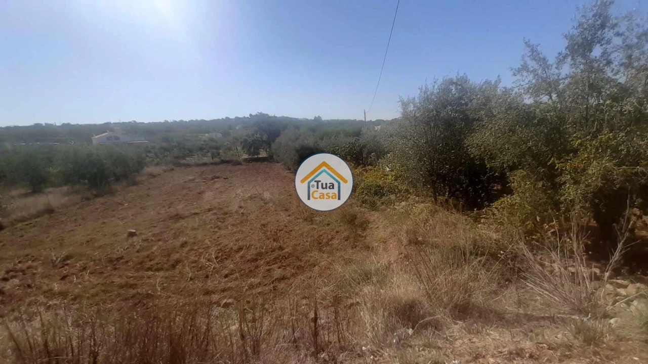 Terreno para Venda em São Brás de Alportel Foto 2