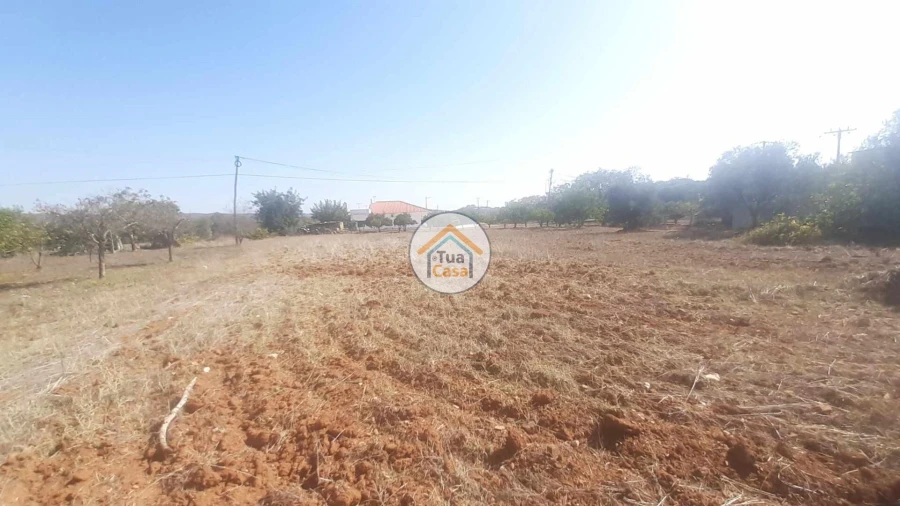 Terreno para Venda em São Brás de Alportel Foto 5
