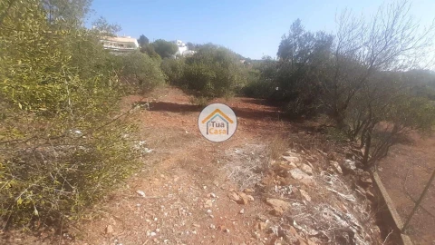 Terreno para Venda em São Brás de Alportel