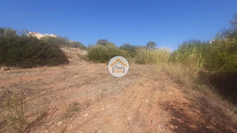 Terreno para Venda em São Brás de Alportel