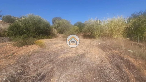 Terreno para Venda em São Brás de Alportel
