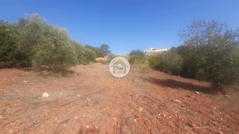 Terreno para Venda em São Brás de Alportel