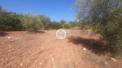 Terreno para Venda em São Brás de Alportel