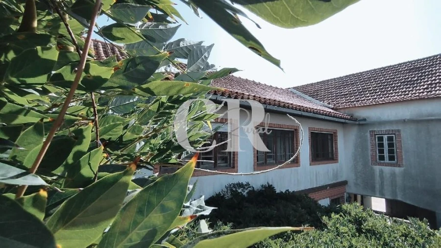 Moradia T4 para Venda em Avelar Foto 68