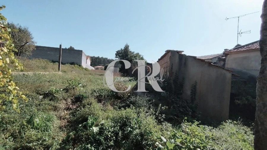 Moradia T4 para Venda em Avelar Foto 93