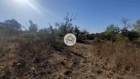Terreno para Venda em São Brás de Alportel