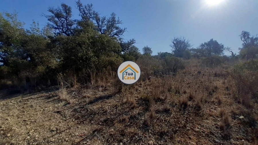 Terreno para Venda em São Brás de Alportel Foto 14