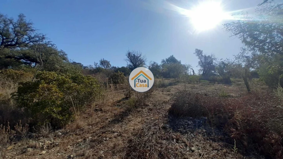 Terreno para Venda em São Brás de Alportel Foto 10