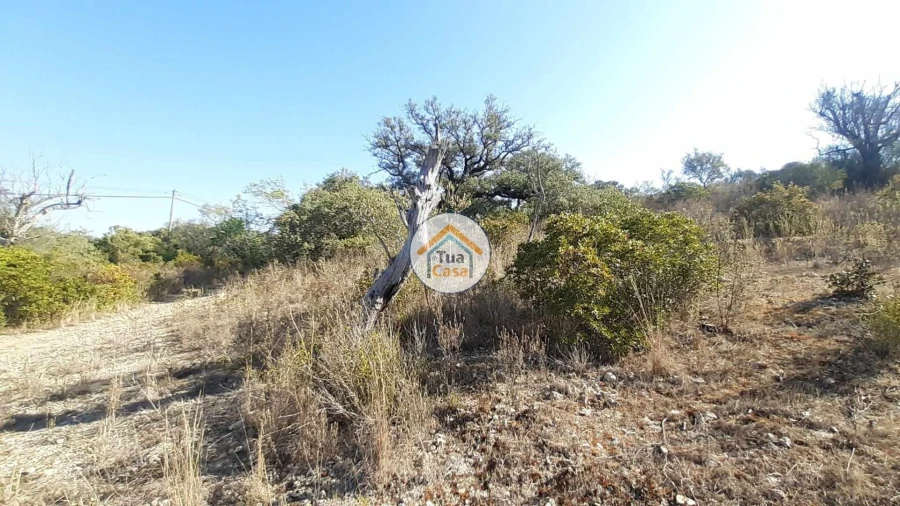 Terreno para Venda em São Brás de Alportel Foto 4