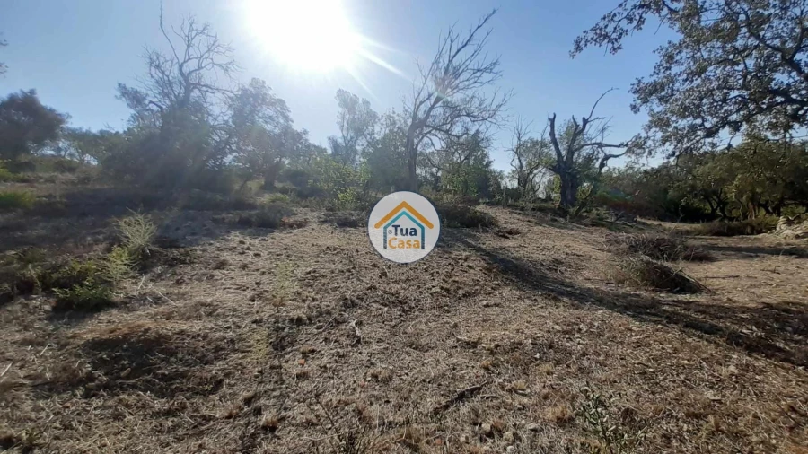 Terreno para Venda em São Brás de Alportel Foto 3