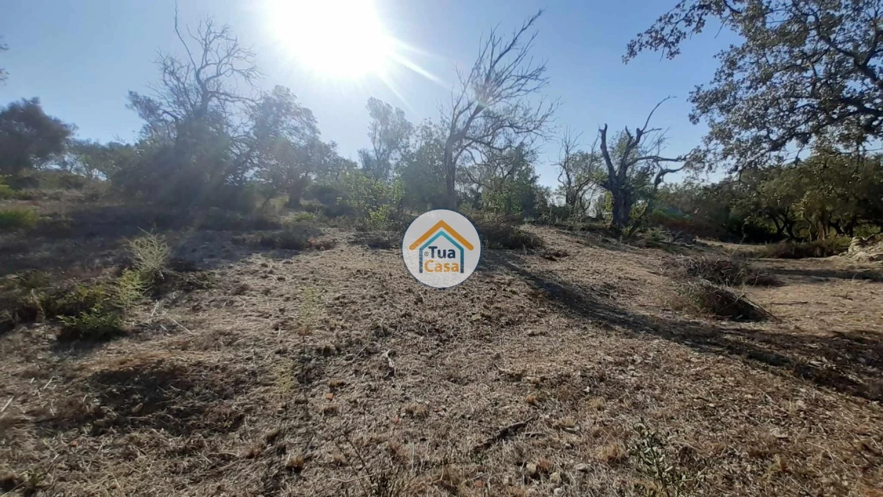 Terreno para Venda em São Brás de Alportel Foto 3