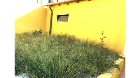 Moradia T3 para Venda em Campanhã